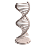 Magnetic DNA Double Helix Model with 8mm x 2mm Magnets for A-T C-G Base Pairs MineeForm FDM 3D Print STL File MineeForm FDM 3D Print STL File