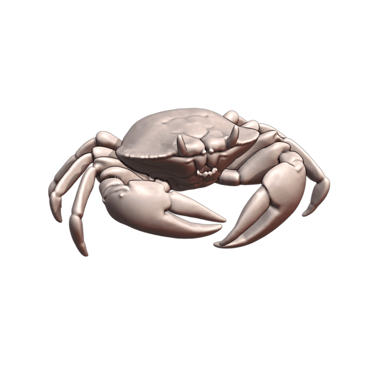 28mm DND Detailed Realistic Ocean Crab Creature Fantasy Miniature MineeForm FDM 3D Print STL File