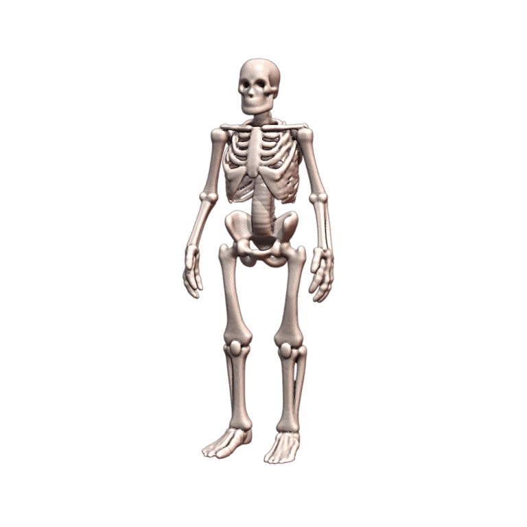 28mm DND Giant Skeleton of the Lost Undead Fantasy Miniature MineeForm FDM 3D Print STL File