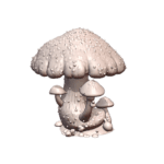 28mm DND Whimsical Giant Mushroom Cluster for Fantasy Scenes MineeForm FDM 3D Print STL File