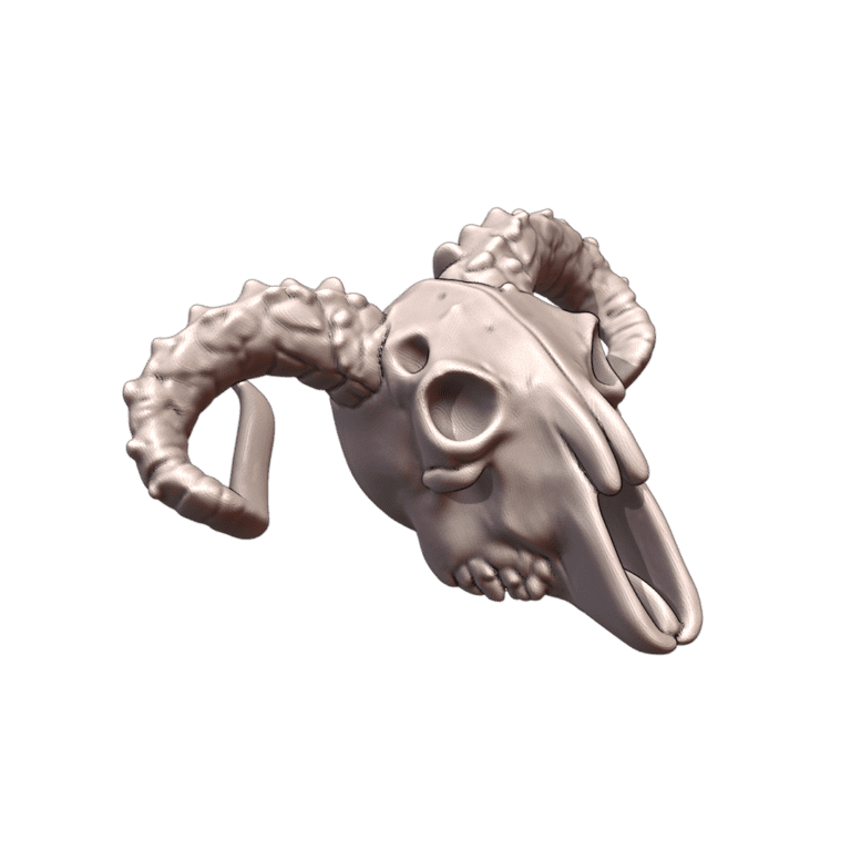 28mm Sci-Fi Animal Skull for Wilderness Settings MineeForm FDM 3D Print STL File