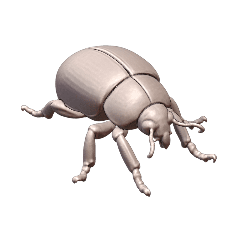 28mm Sci-Fi Giant Mutant Beetle Creature for Alien Worlds MineeForm FDM 3D Print STL File