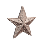 Holiday Festive Star Ornament with Snowy Texture for Christmas Decor