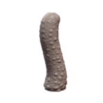 NSFW Alien Genital Bumpy Surface Dildo Sex Toy for Enhanced Sensation