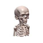 Quarter Scale Spooky Skeleton Kid Bust Sculpture