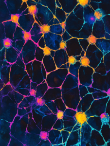 Vibrant Neural Network with Luminous Nodes and Multicolored Web-Like Connections on Dark Background Biology Abstract 18 x 24 Inch MineeForm Wall Art Poster