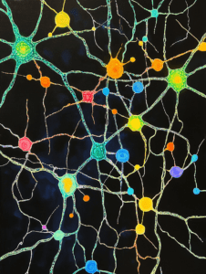 Vibrant Multicolored Neural Connections Against a Deep Black Background Biology Abstract 18 x 24 Inch MineeForm Wall Art Poster