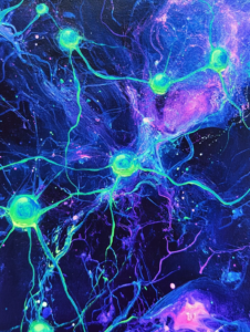 Intricate Network of Glowing Neon Neurons Interwoven in Vibrant Cosmic Space with Electric Blue and Luminous Green Tendrils Amidst a Dark Starry Background Biology Abstract 18 x 24 Inch MineeForm Wall Art Poster