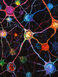 Intricate Network of Vibrantly Colored Neurons and Synapses in a Dark Abstract Background Biology Abstract 18 x 24 Inch MineeForm Wall Art Poster