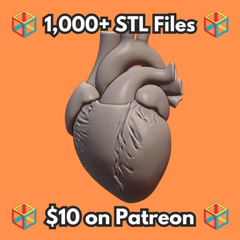Education Model Human Heart Anatomical Structure for Medical Study MineeForm FDM 3D Print STL File