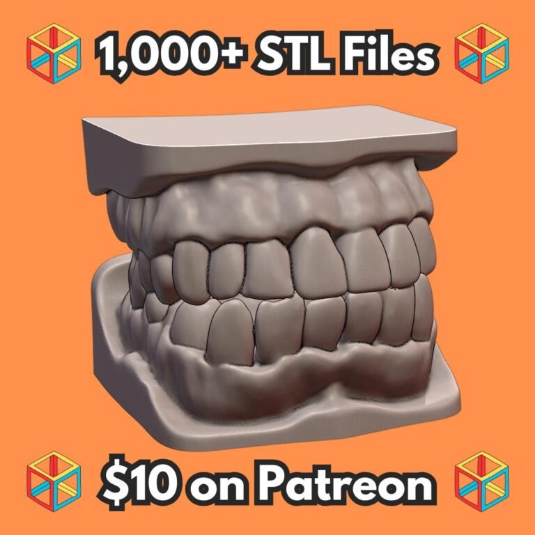 Education Model Human Teeth and Gums Anatomy for Dental Studies MineeForm FDM 3D Print STL File
