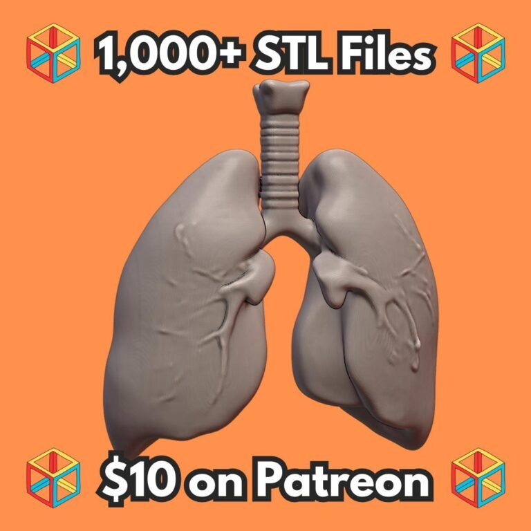 Human Respiratory System Lungs Model for Classroom Use MineeForm FDM 3D Print STL File