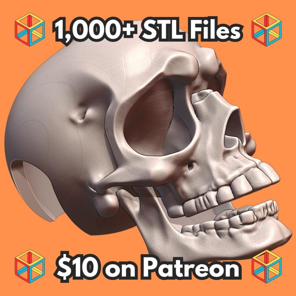 Realistic Human Skull Anatomical Model for Educational Display MineeForm FDM 3D Print STL File